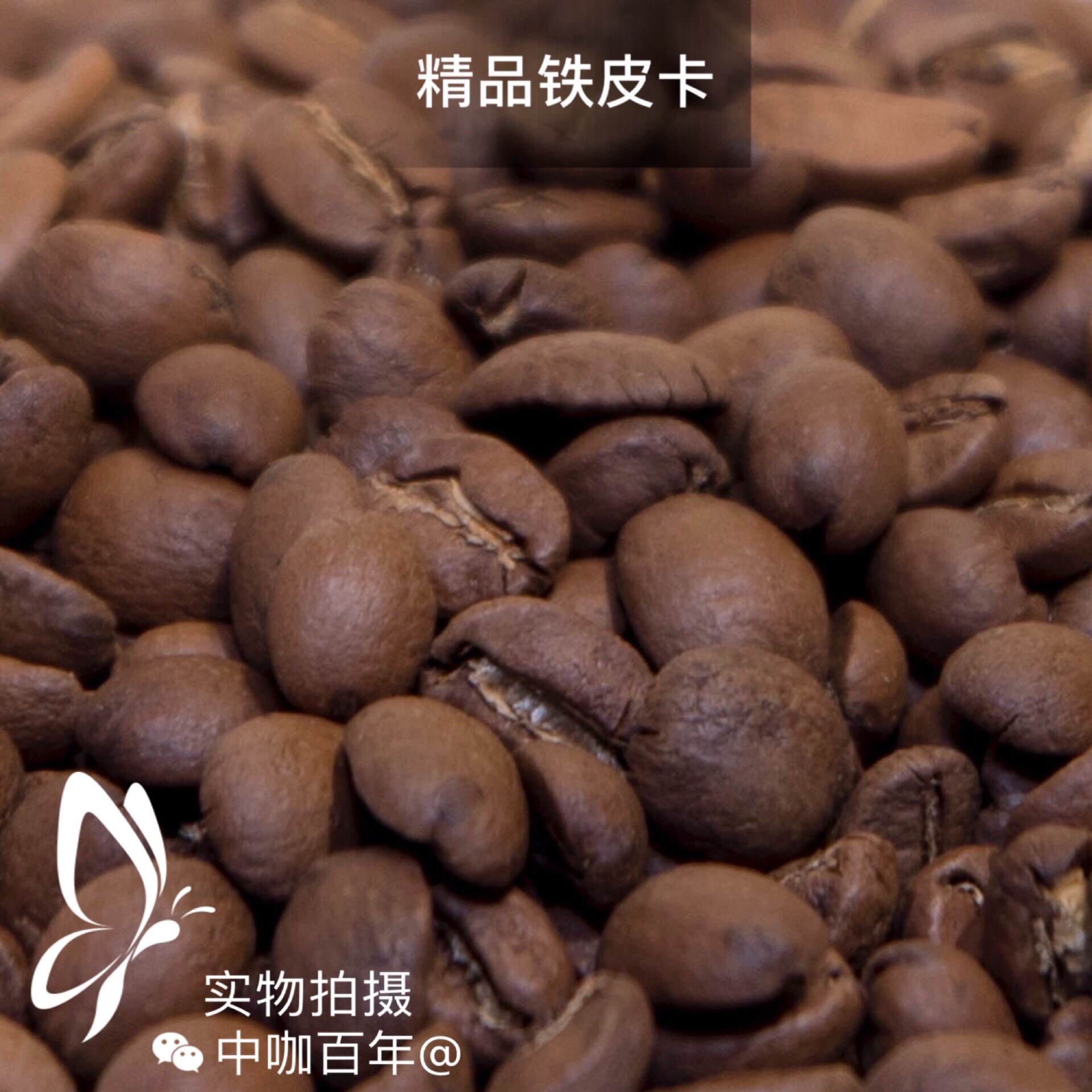 中咖百年铁皮卡云南小粒咖啡豆包邮需要磨粉请备注