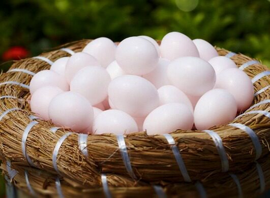 农家精选新鲜鸽子蛋正品杂粮鸽蛋放养白鸽30枚鸽蛋