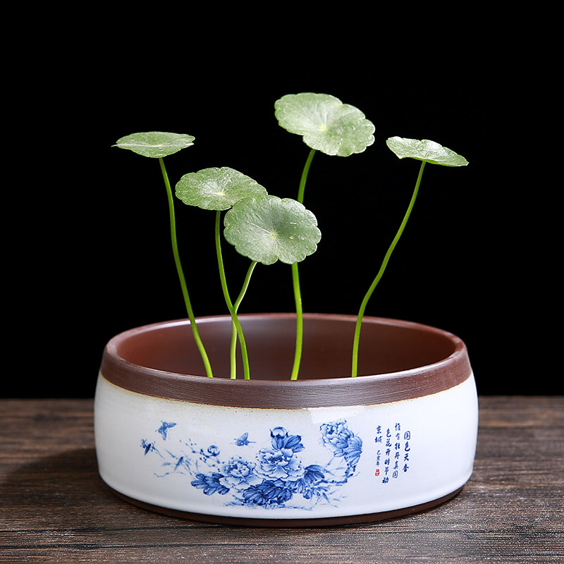 铜钱草水花盆金钱专用陶瓷大号清仓简约水仙花花盆