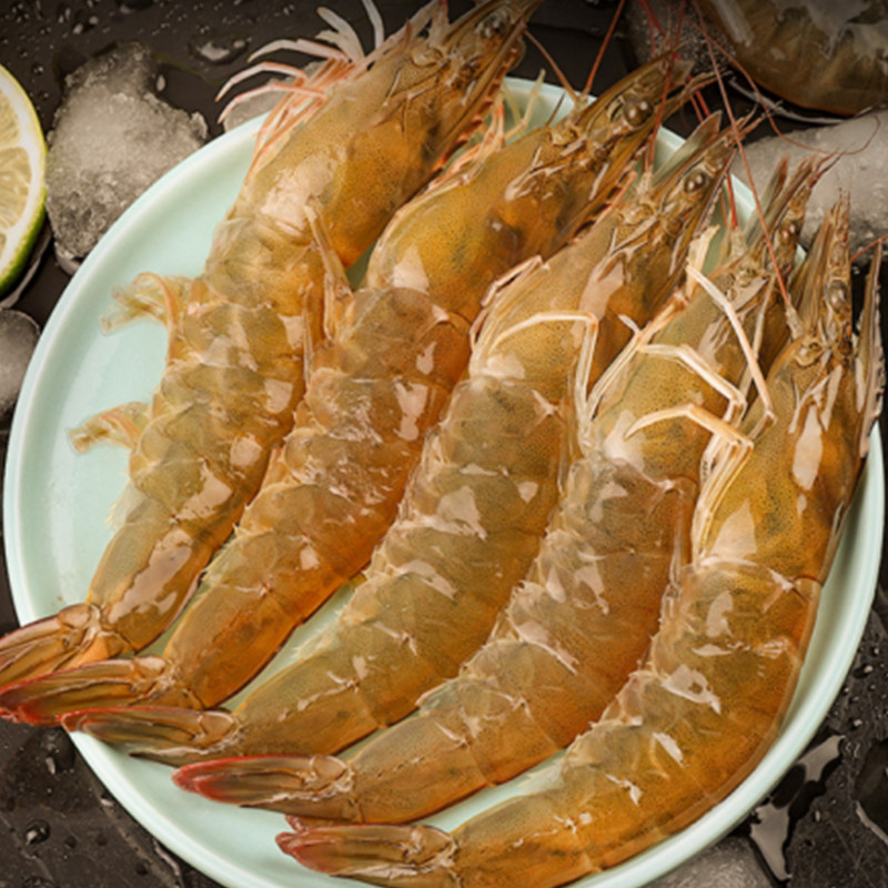 山东威海大虾对虾新鲜海野生鲜活大黄虾盐超大冻虾