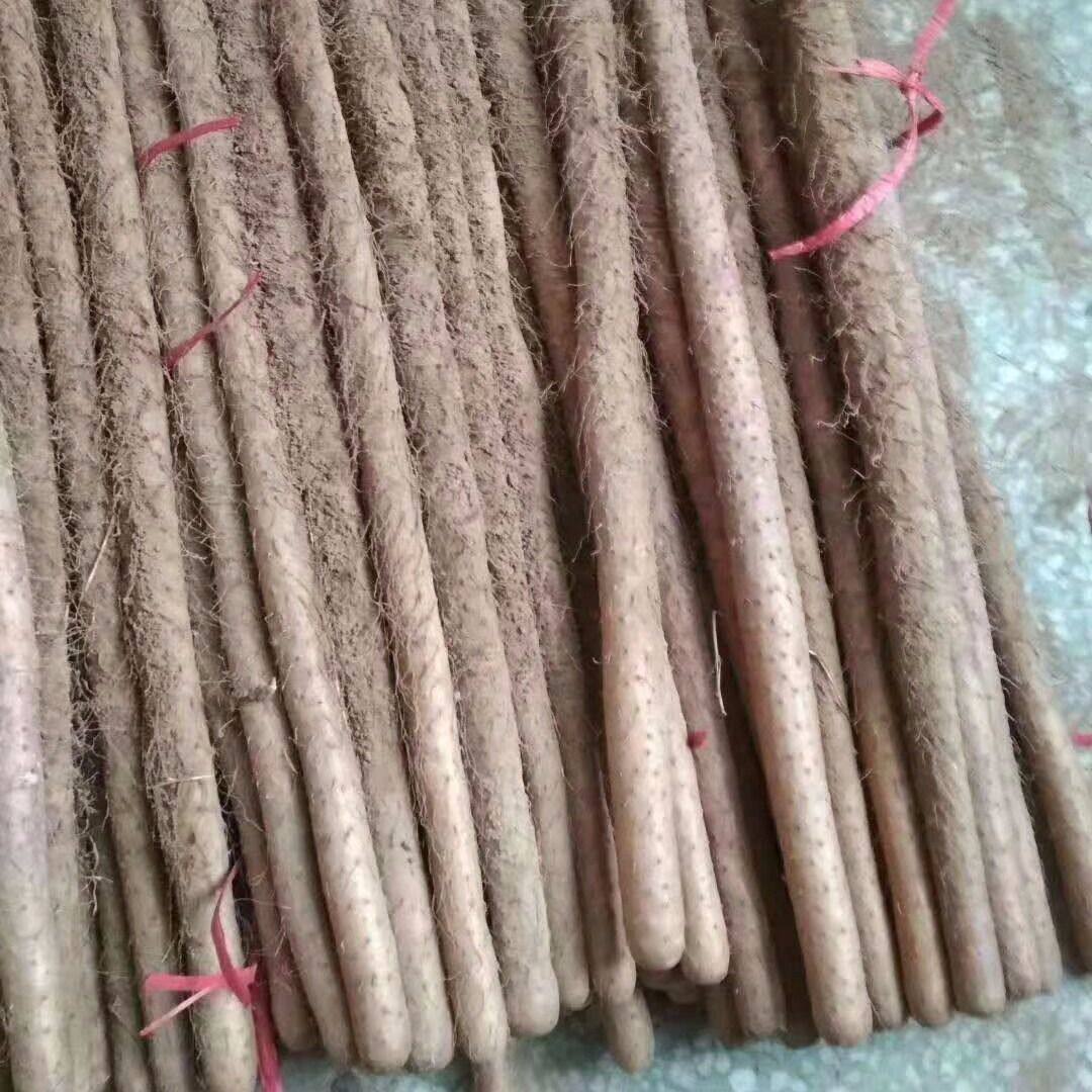 河南铁棍山药新鲜现挖垆土淮山药焦作温县铁杆三药面糯粉5斤包邮