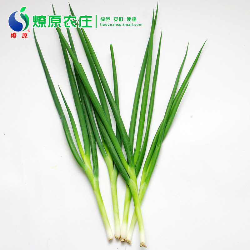 燎原绿色香葱小葱2斤绿葱青葱葱葱秧蘸酱菜葱类