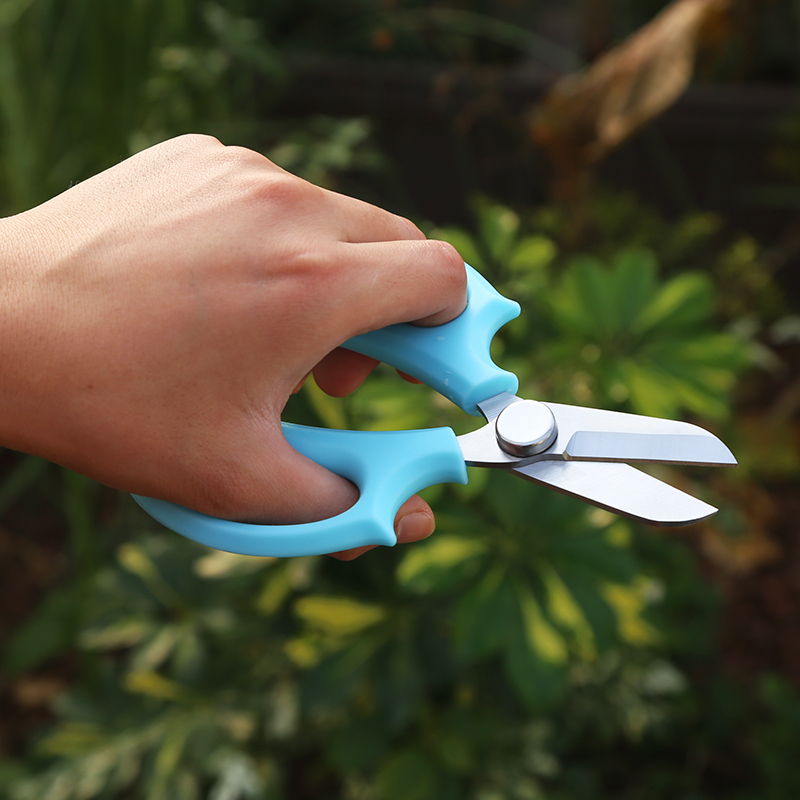 花剪园艺花艺剪刀宽头家用鲜花花花道剪花枝剪刀