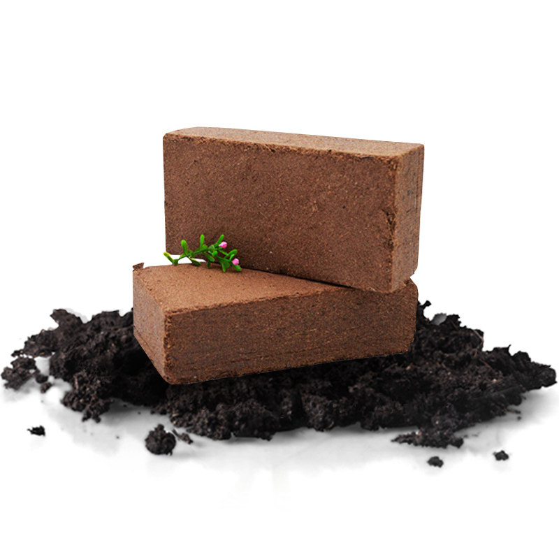 无菌椰粉椰砖营养土椰兰花无土栽培宠物垫材种菜介质