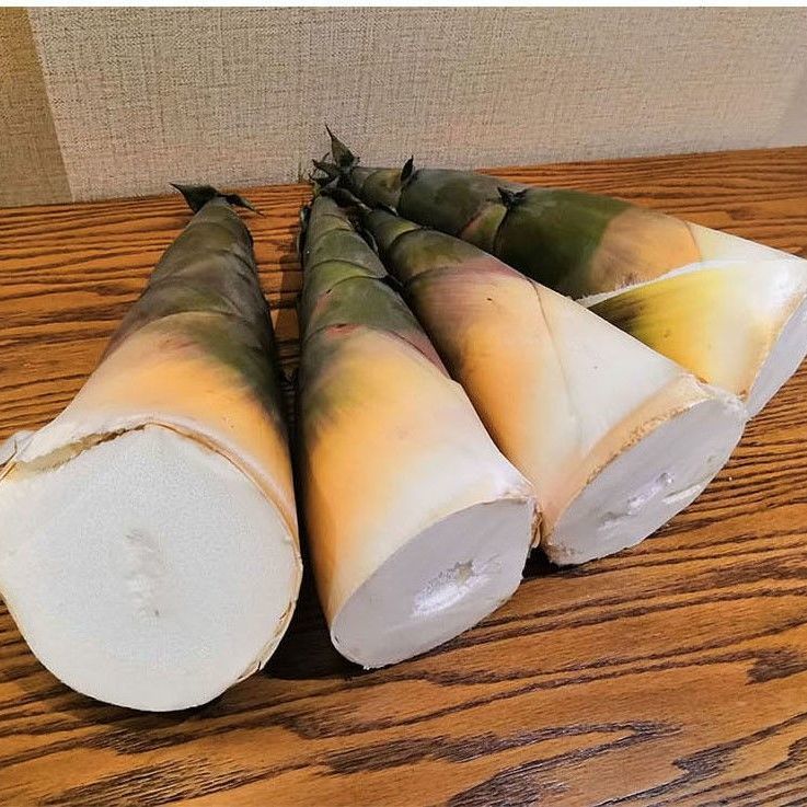 竹笋重庆新鲜春笋夏绿大头甜笋广西酸笋当天竹笋