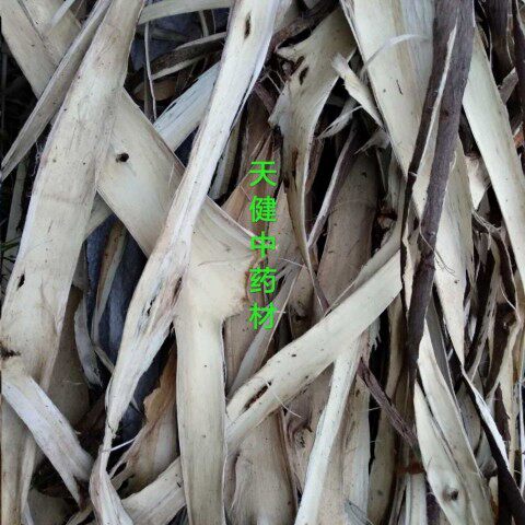 白皮树皮楮树中药材谷木皮楮楮皮皮毛250克包邮其他药食同源食品