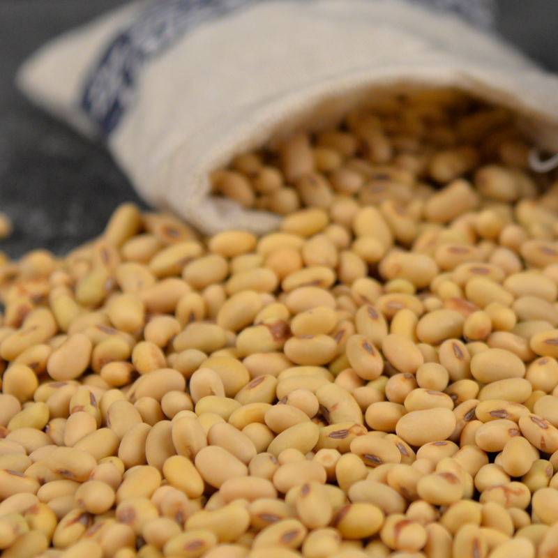 【农家自产】长粒肾型老扁黄豆生豆