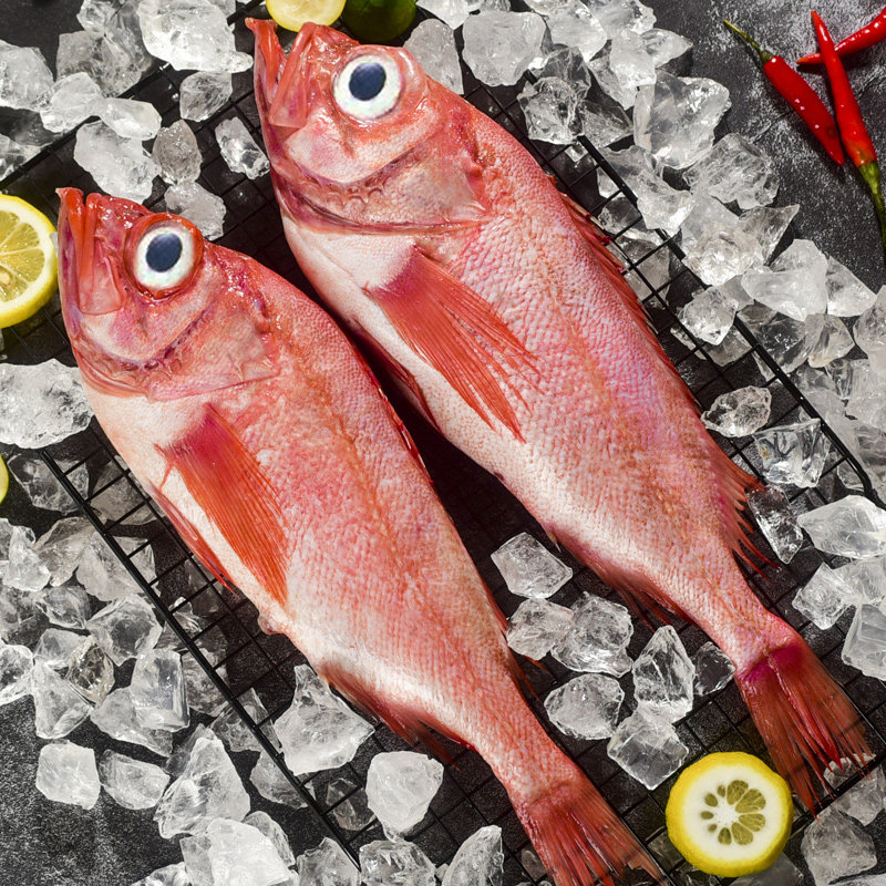 海鱼5斤红石斑鱼海鱼新鲜冷冻海鱼鲜活鲜鱼水产海产品富贵鱼红鱼