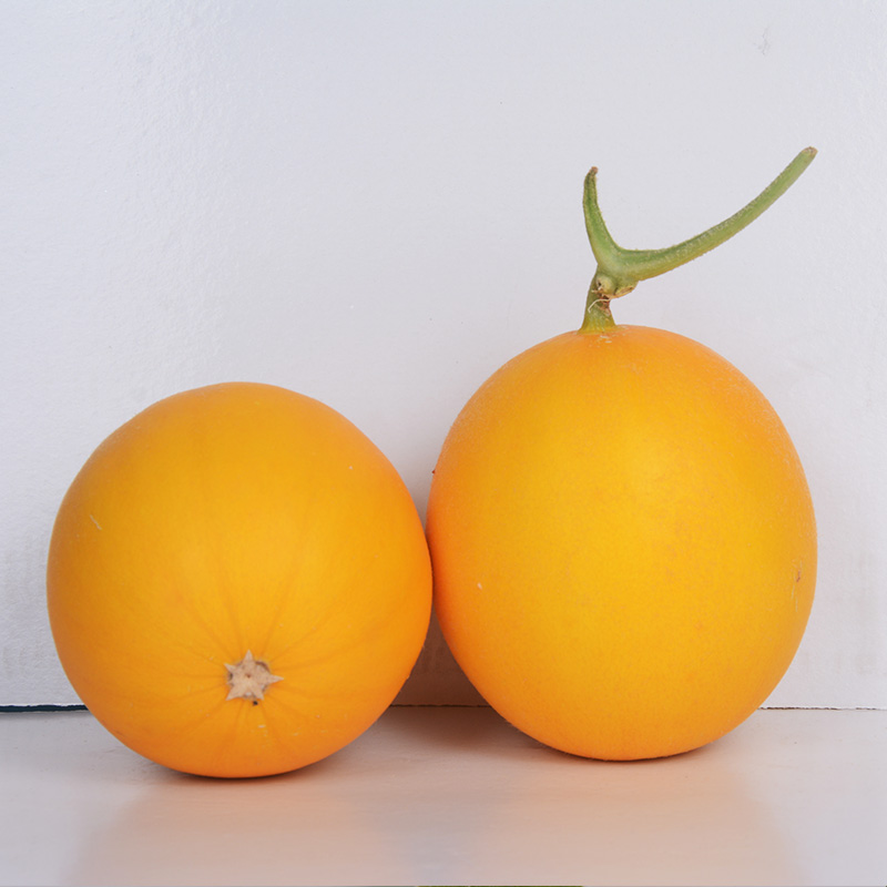 新鲜久红红瑞香瓜黄河蜜瓜哈密瓜水果黄金当季哈密瓜