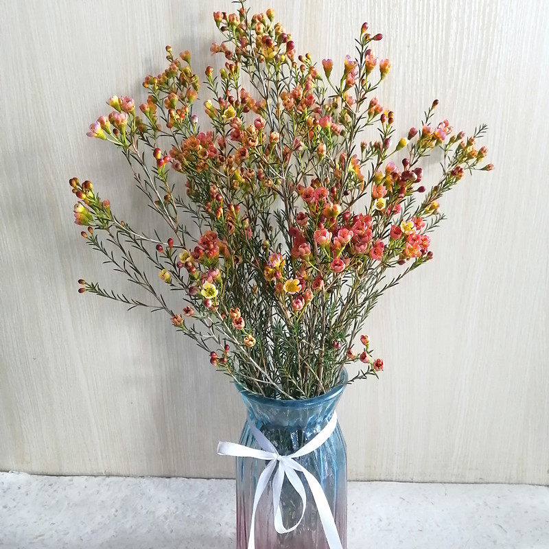 年宵花蜡花鲜花云南直发昆明基地腊梅花家庭插花摆件速递同城包邮