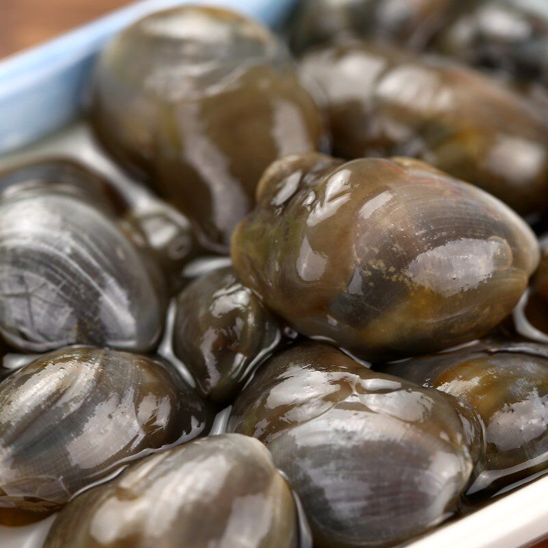 8a特产宁波海鲜鲜活新鲜活野生王即食泥螺螺醉泥螺