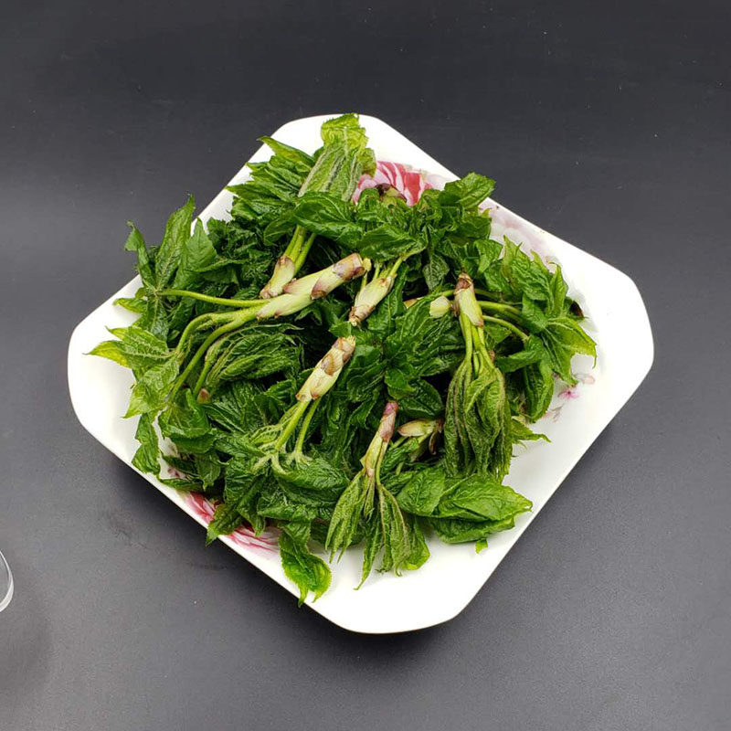 长白山野生五加新鲜加叶山野菜酱菜500g2斤包其它