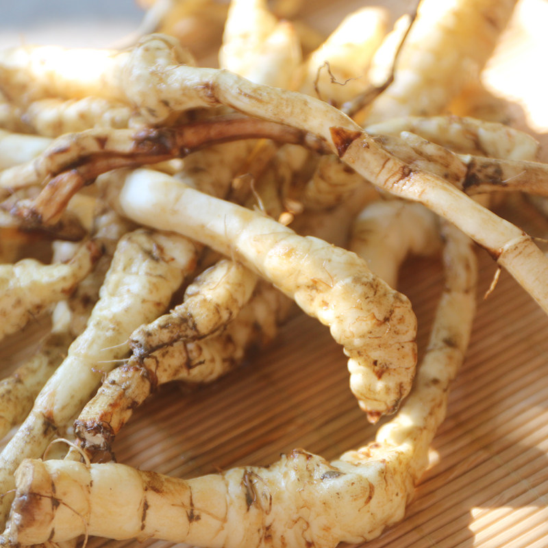 贵州剑河特产产地虫草地龙菜泽兰根雪参150g其它干货