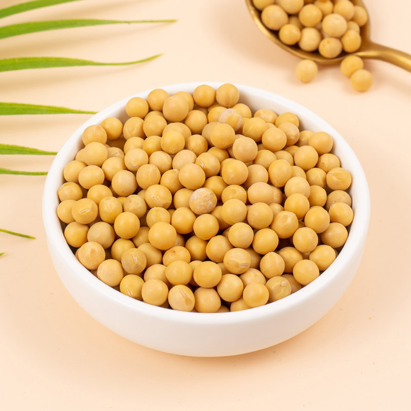 黄豆大豆东北北新豆腐豆浆自产豆芽1斤黑龙江黄豆