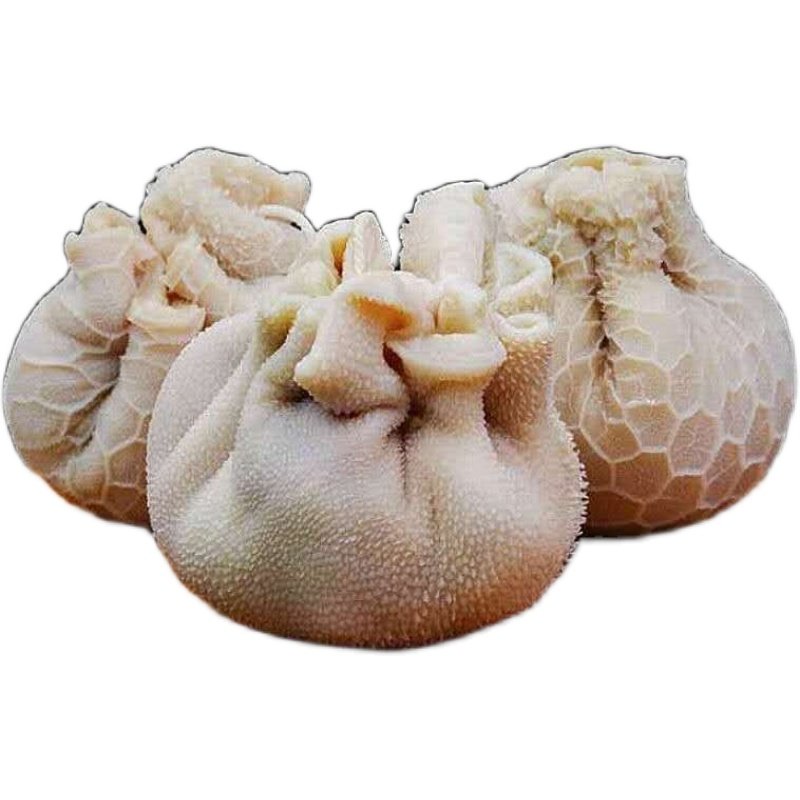 羊肚包网红1斤鲜嫩非即新鲜羊肉肉羊杂吃火锅其它