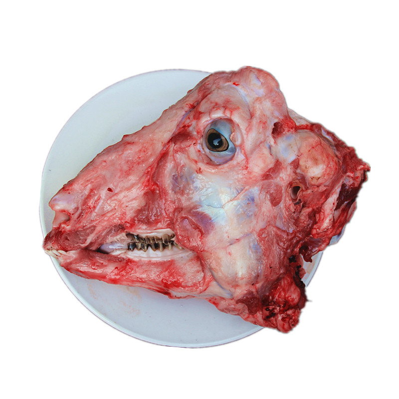 羊头山羊新鲜现杀一个非绵羊杂杂无其它