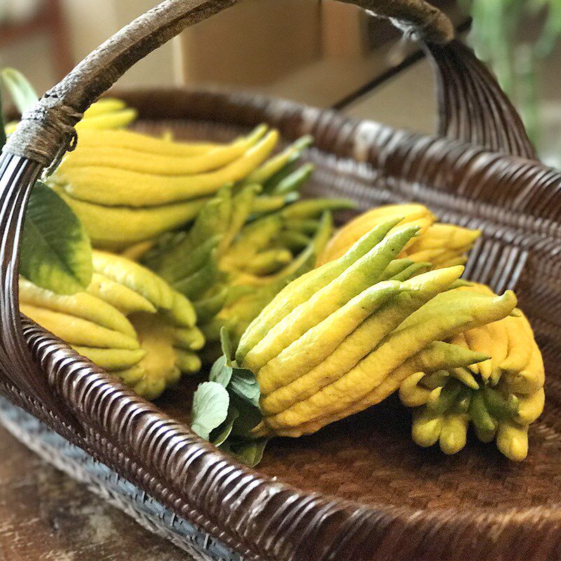 佛手金华鲜果观赏食用清供新鲜摆放现摘手包佛手果