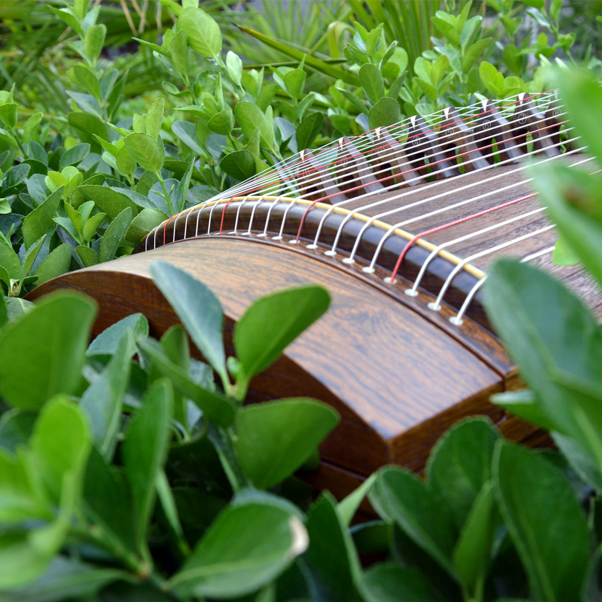 古筝三希堂小便携式迷你小型黄金檀素面挖演奏古筝