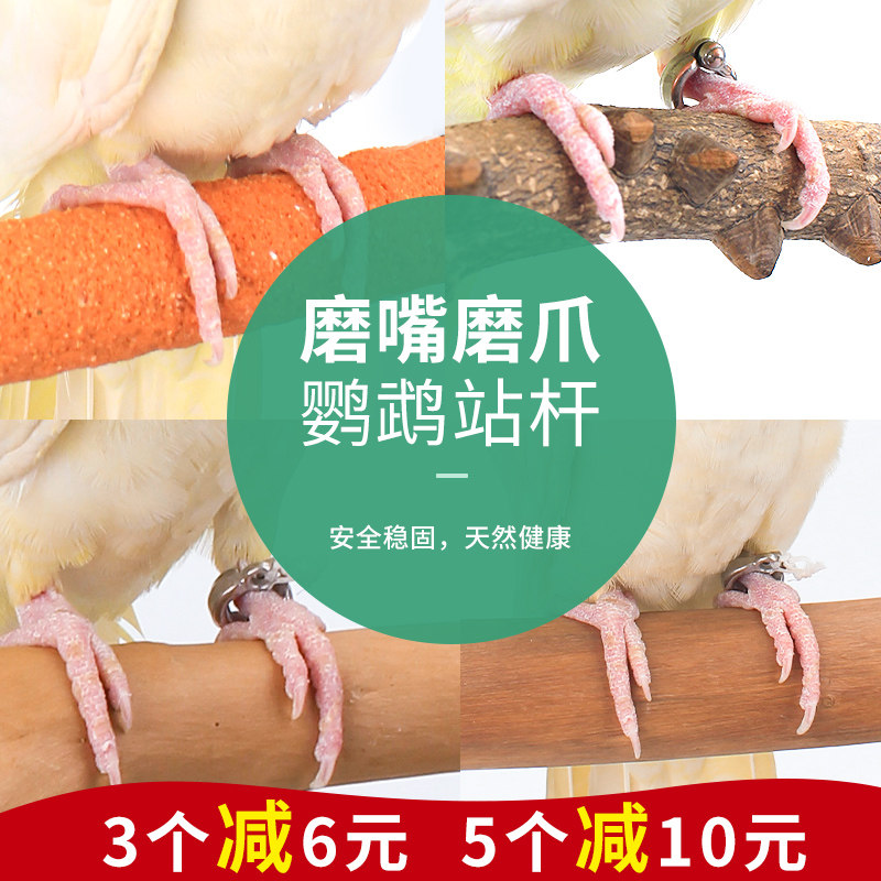 鹦鹉配件鸟笼爪棒杠磨磨砂鸟站站杆八哥磨牙其他