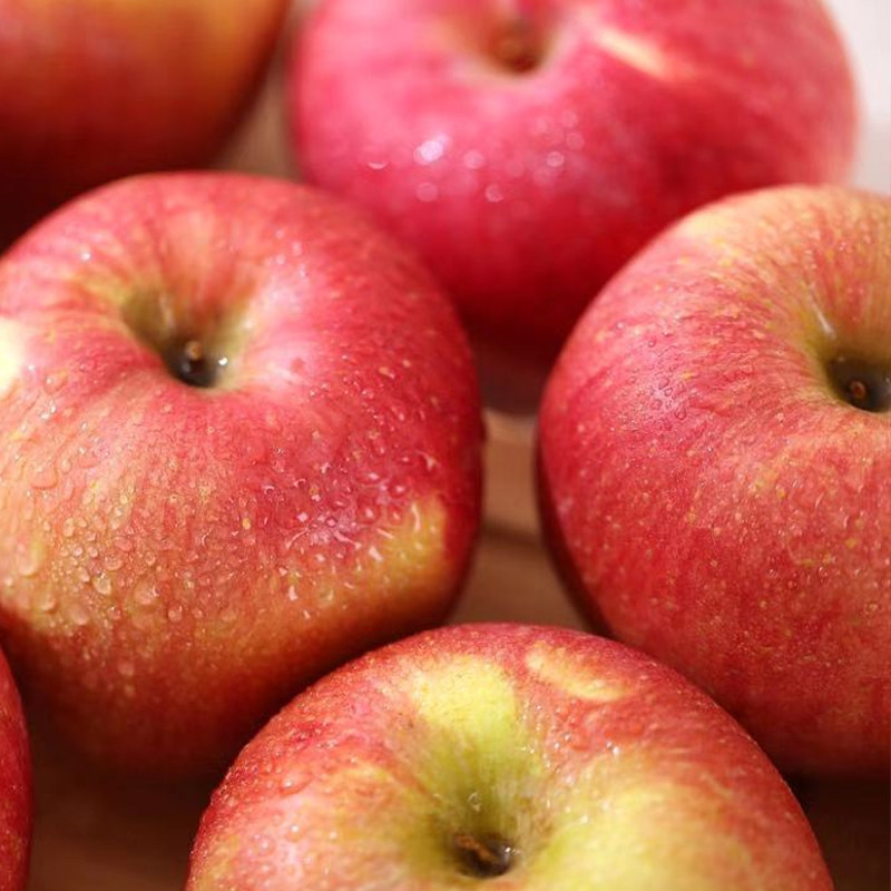新鲜甘肃冰糖糖心红富士苹果脆甜5斤精选应季苹果