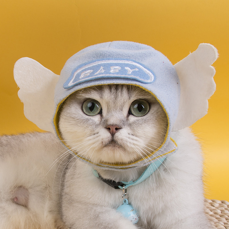 可爱可爱猫猫咪头套帽子泰迪博美比熊狗狗装扮头饰