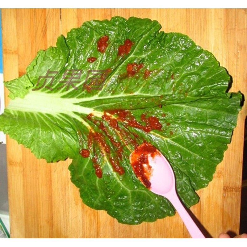 叶子菜叶包菜叶包饭大白菜现摘东北小菜蘸酱白菜其它