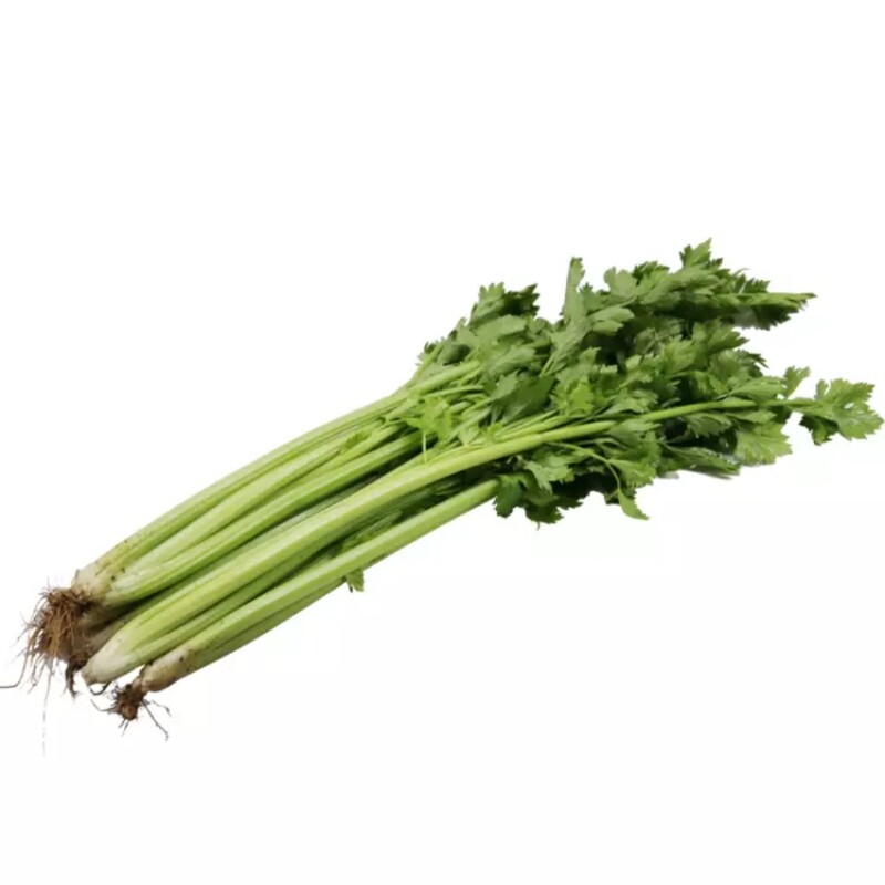 山东特产农家自种现拔新鲜西芹芹菜带箱5斤其它