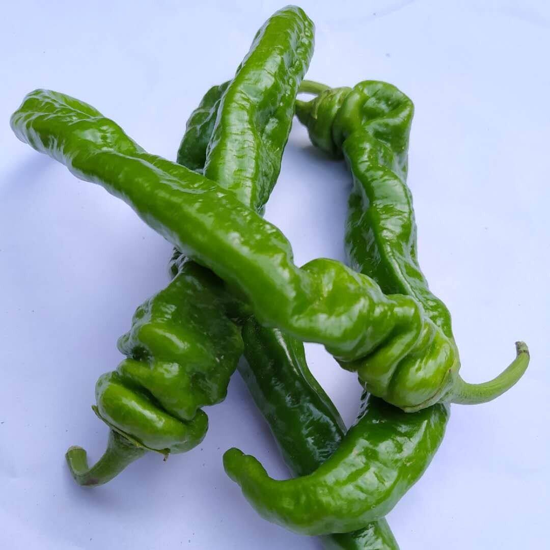 辣椒5斤新鲜螺丝农家蔬菜皱皮虎皮红椒包邮辣椒