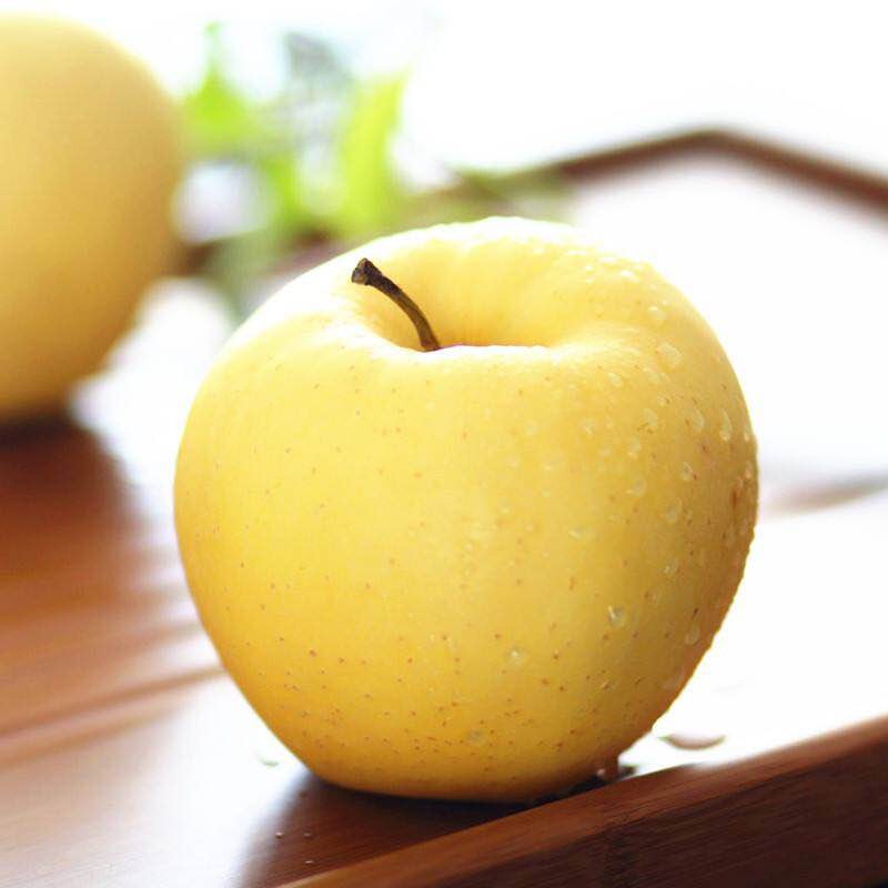 苹果黄元帅老人净重刮泥宝宝粉面水果新鲜金帅苹果
