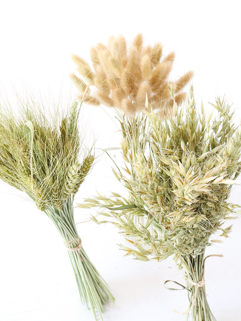干花兔尾自然麦子麦穗大麦植物小麦小麦花花束干花