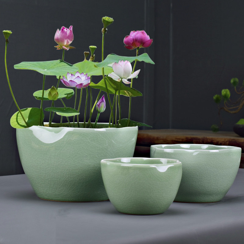 创意水培碗睡莲花盆陶瓷高盆特大号水养植物无孔花盆