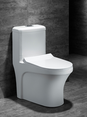 家用抽水马桶超漩虹吸式座便器卫浴洁具坐厕普通小户型防臭坐便器