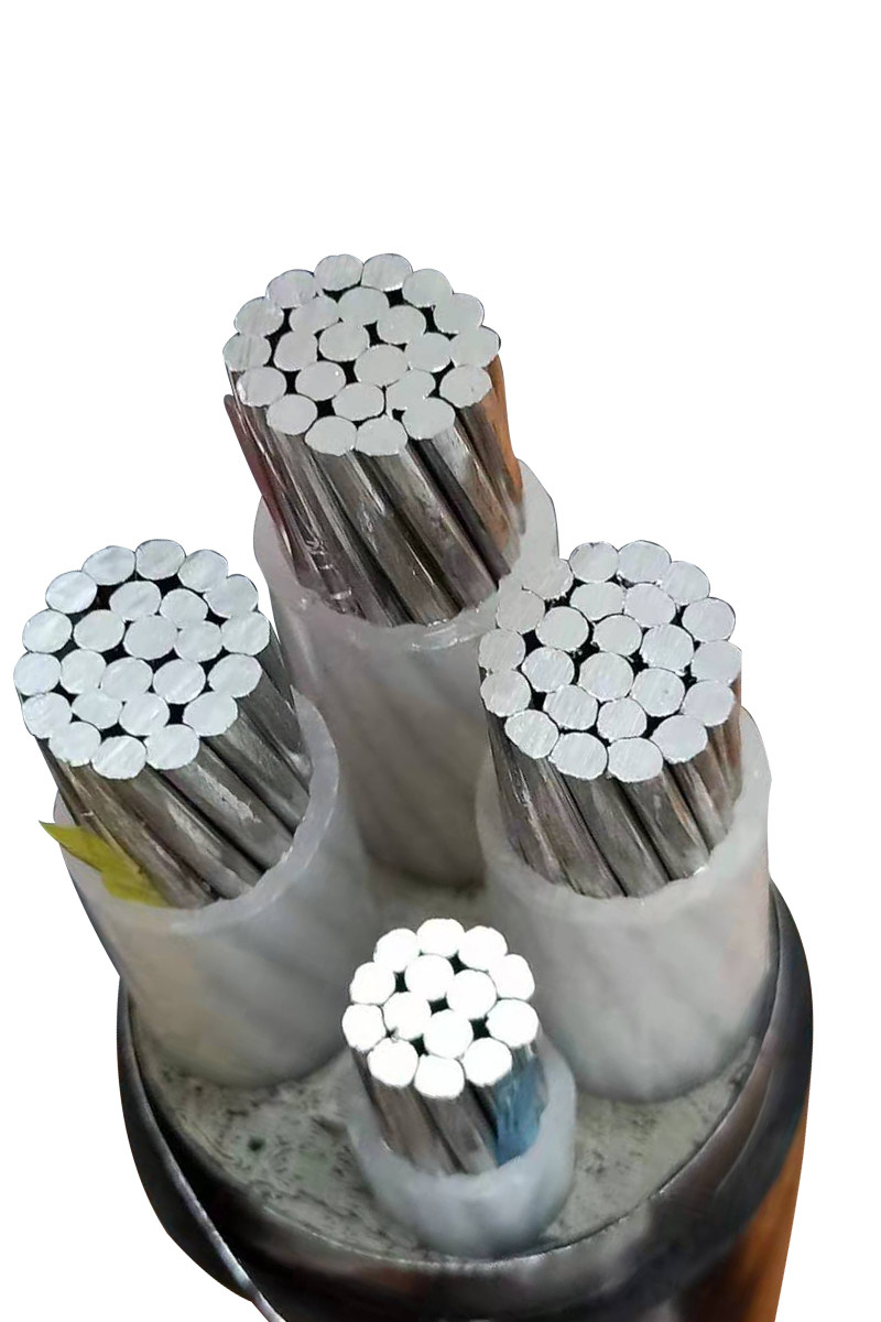 户外专用防老化铝芯电线2芯4/6/8/10/16平方国标电缆线铝线