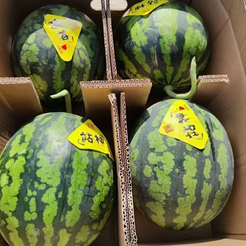 水果西瓜站神甘美4k战神一个新鲜超甜多汁西瓜