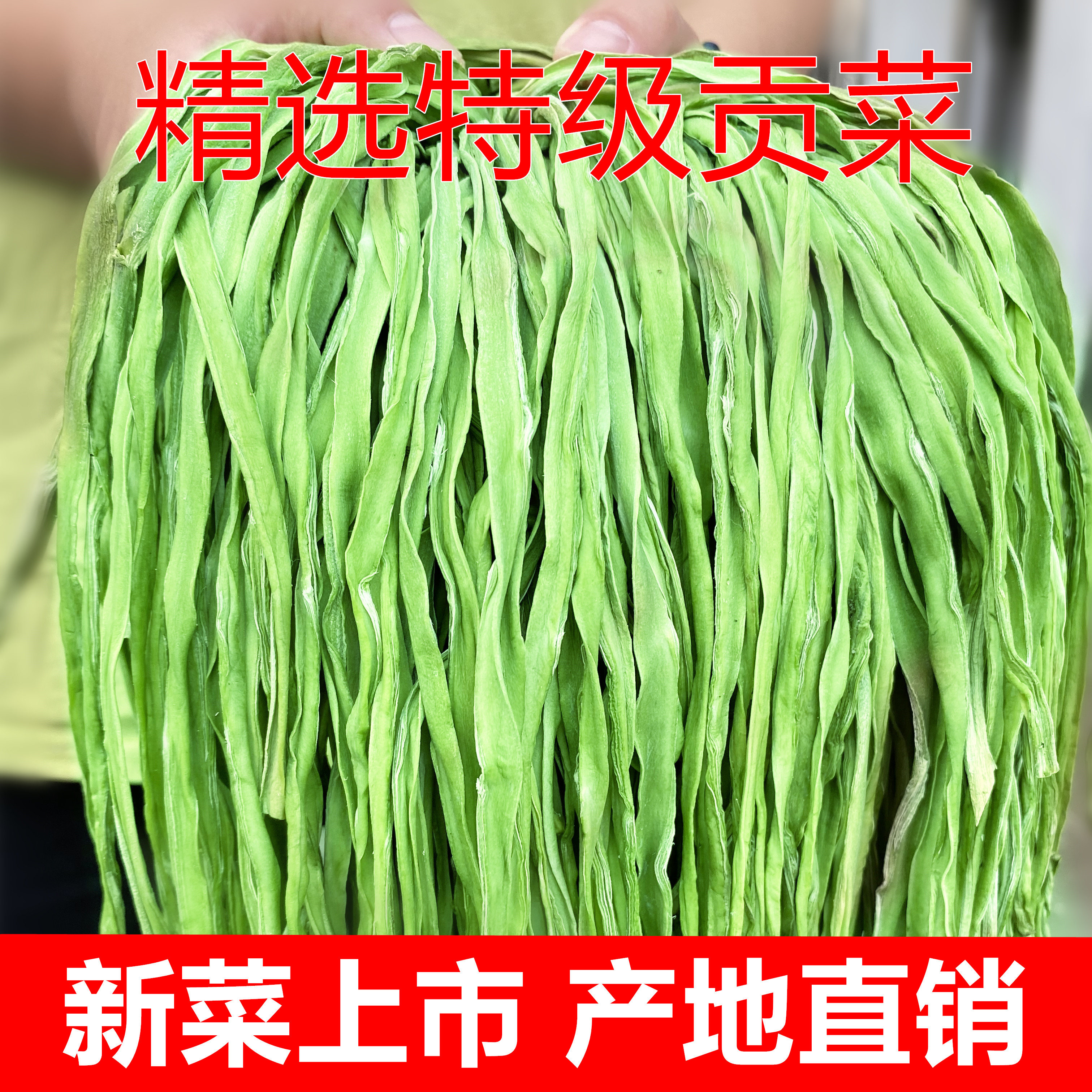 500g包邮特级无叶贡菜干新鲜苔干苔菜农家土特产干货脱水蔬菜响菜
