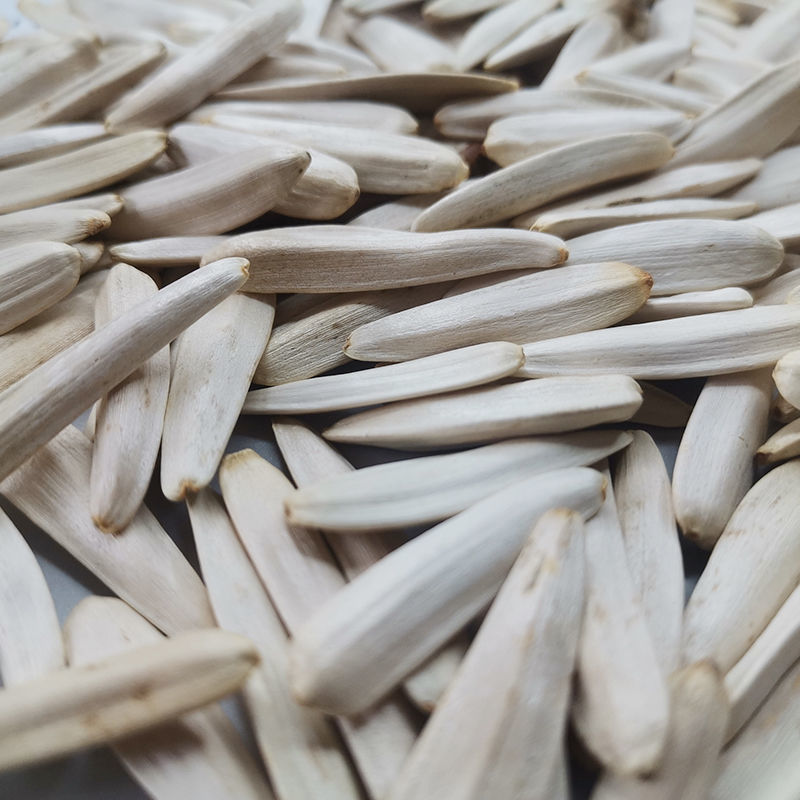 马牙白瓜子新疆特产白皮葵花籽500g新货人工现钞瓜子