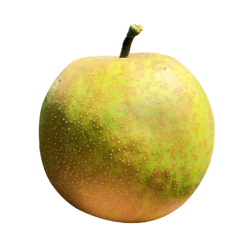 超甜福建建宁蜜梨翠冠梨子新鲜水果10斤果香梨