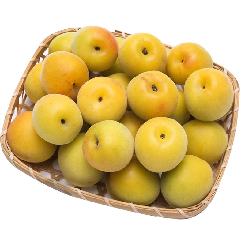 2022新鲜黄梅5斤大果青梅鲜果诏安青梅泡酒酵素酸熟梅子现货福建