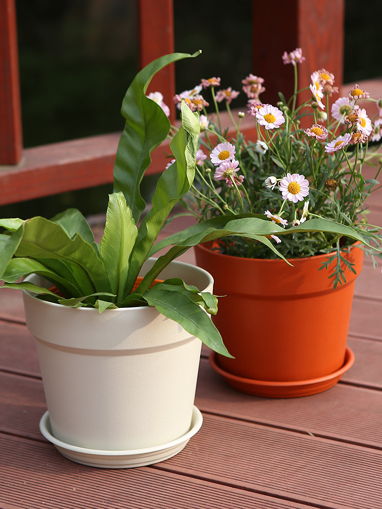 简约树脂圆形室内塑料加厚防陶花盆多肉大阳花盆