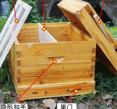峰桶蜂箱组装密蜂箱养蜂用品养蜂工具别墅蜂箱养蜜蜂的箱子木头质