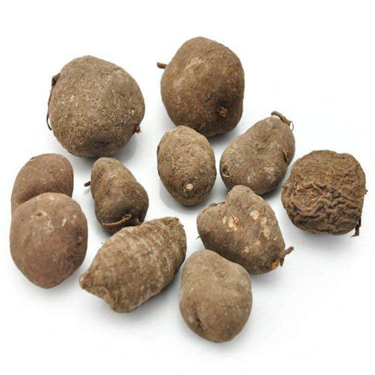 叶青三叶中药材正品新鲜500g包邮三泡茶浙江金线其他药食同源食品