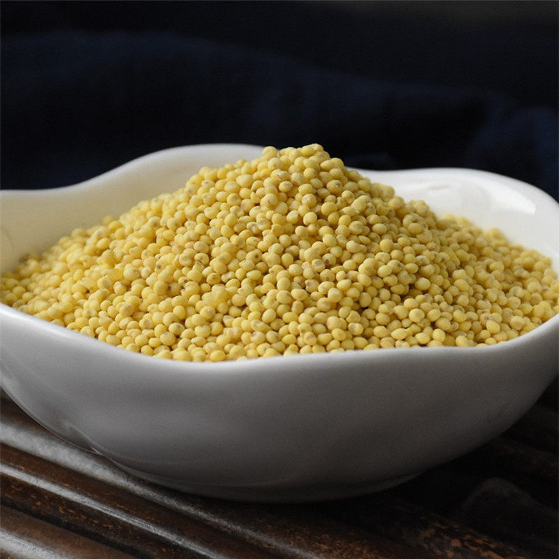 秫米北秫米药用中药材正品新货500g包邮糯小米黄糯糯粟中草药