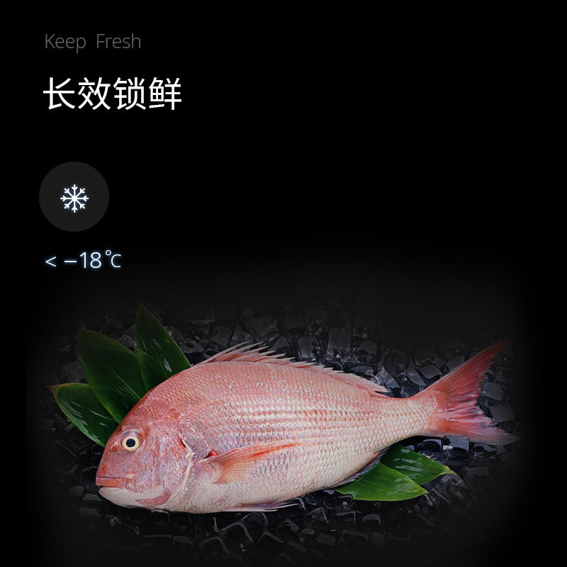 冰箱丹麦gram嵌入式橱柜卧式内嵌公寓家用台下组合嵌入式冰箱