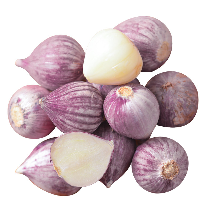云南大理独头蒜紫皮独珍珠新鲜迷你干蒜紫皮大蒜