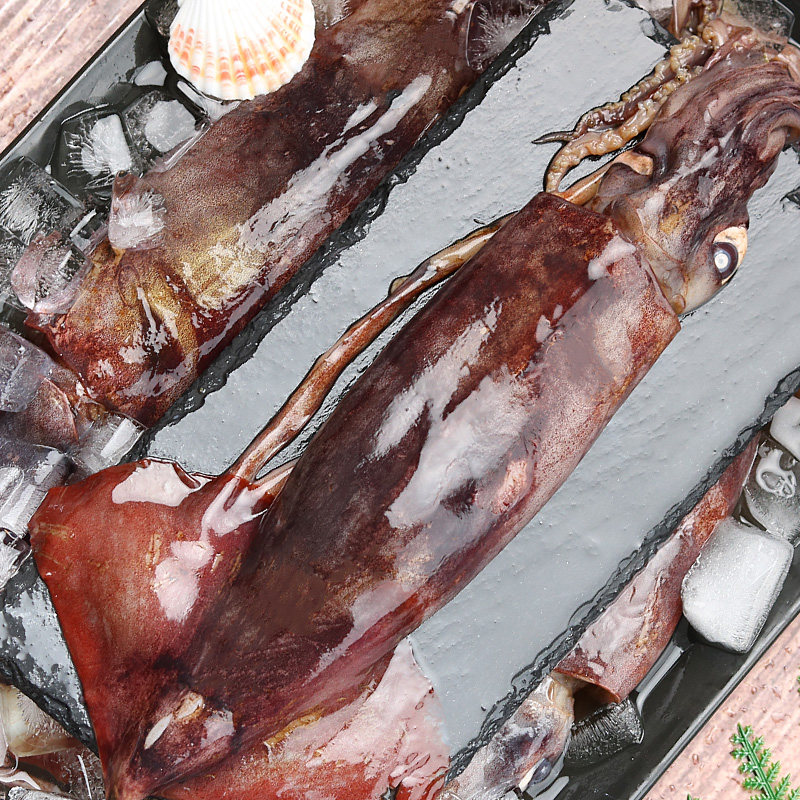 鱿鱼鲜朋超大鲜活冷冻新鲜铁板烧烤专用海鲜食冷冻鱿鱼