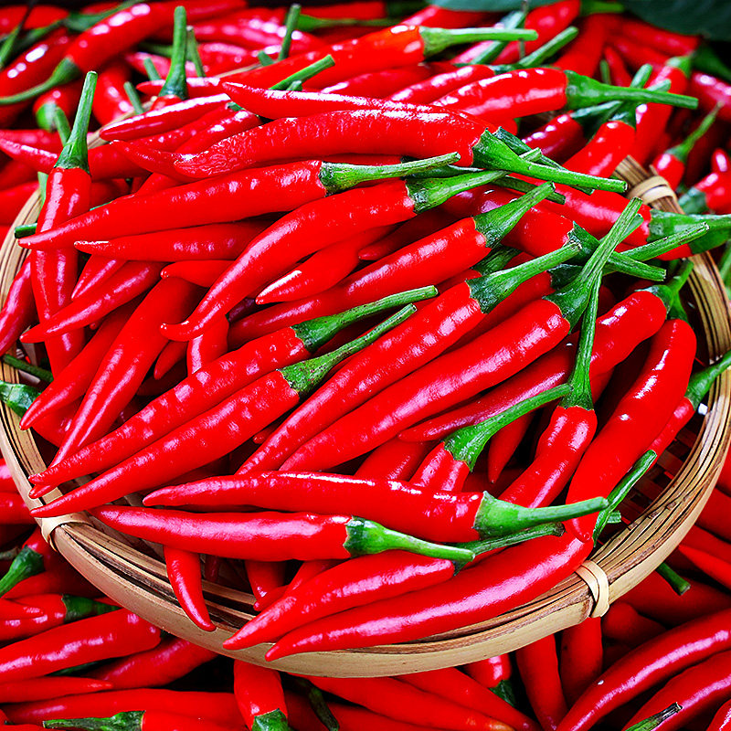 小米米辣椒新鲜5斤小米椒红辣椒特辣朝天尖椒蔬菜辣椒