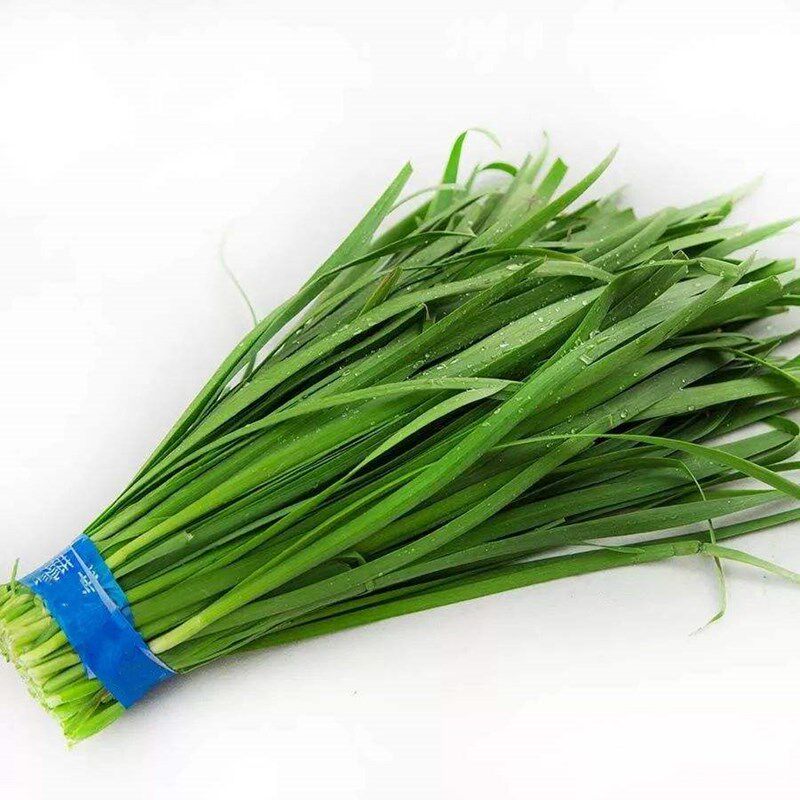 韭菜 新鲜蔬菜500克 农家嫩韭土韭菜时令新鲜蔬菜烧烤食材
