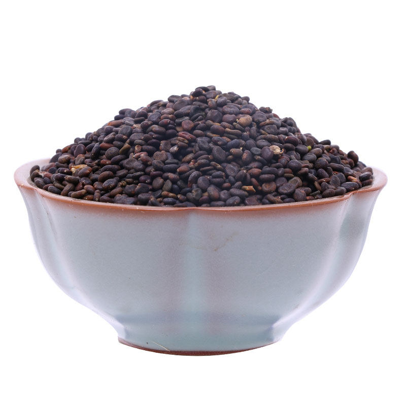 黄芪种籽散装优质中药材正北种植籽苗春季秋季家庭园艺种子