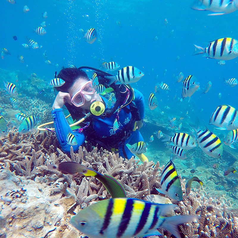 三亚西岛一日游纯玩团门票船票接送牛王潜水畅玩境内跟团游