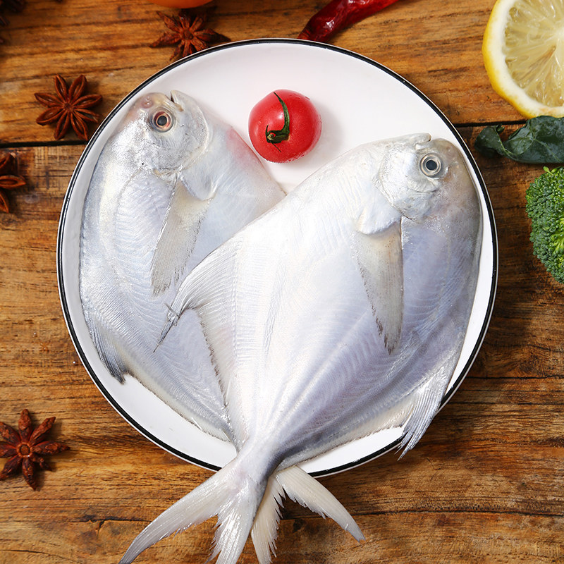 鲳鱼hz东海镜鱼平鱼水产冷冻4斤生鲜白鲳鱼鲳鱼